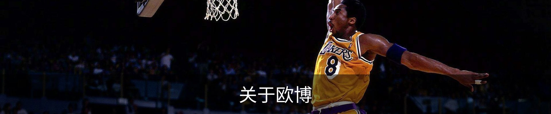 内页banner